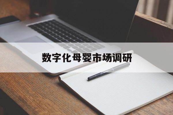 湖州市数字化母婴市场调研(数字化母婴市场调研报告)